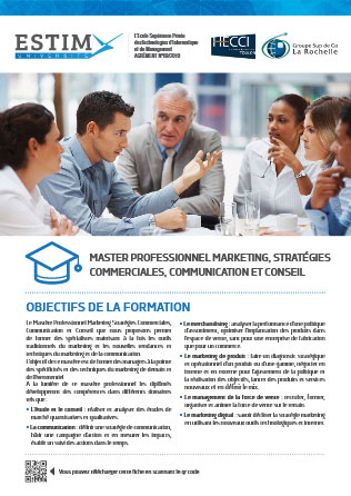 Master en Management-Marketing stratégie et communication